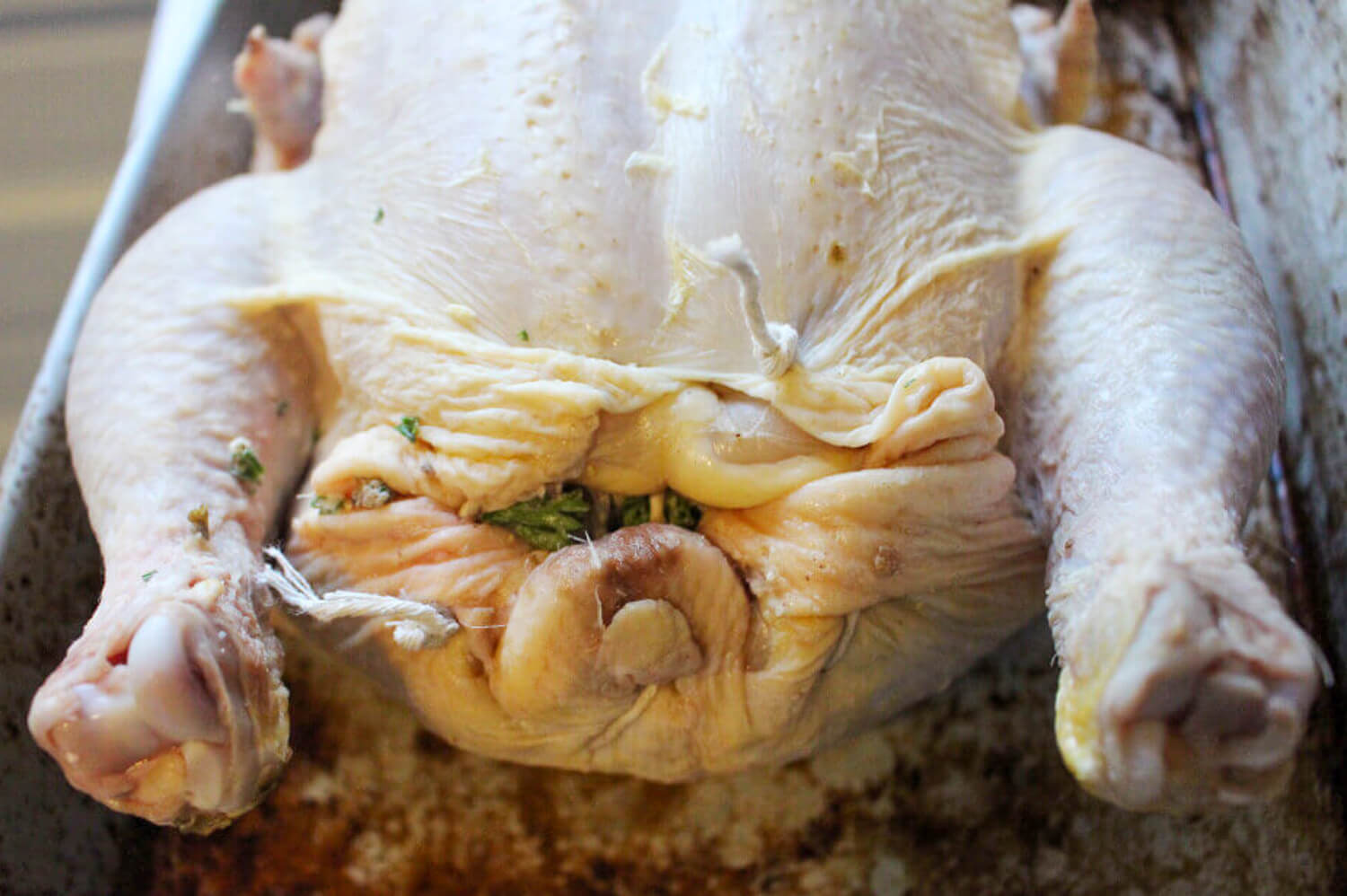 Trussed Chicken Ready to Roast